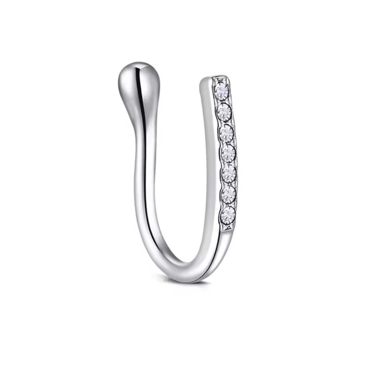 PIERCING DE NEZ DALIA