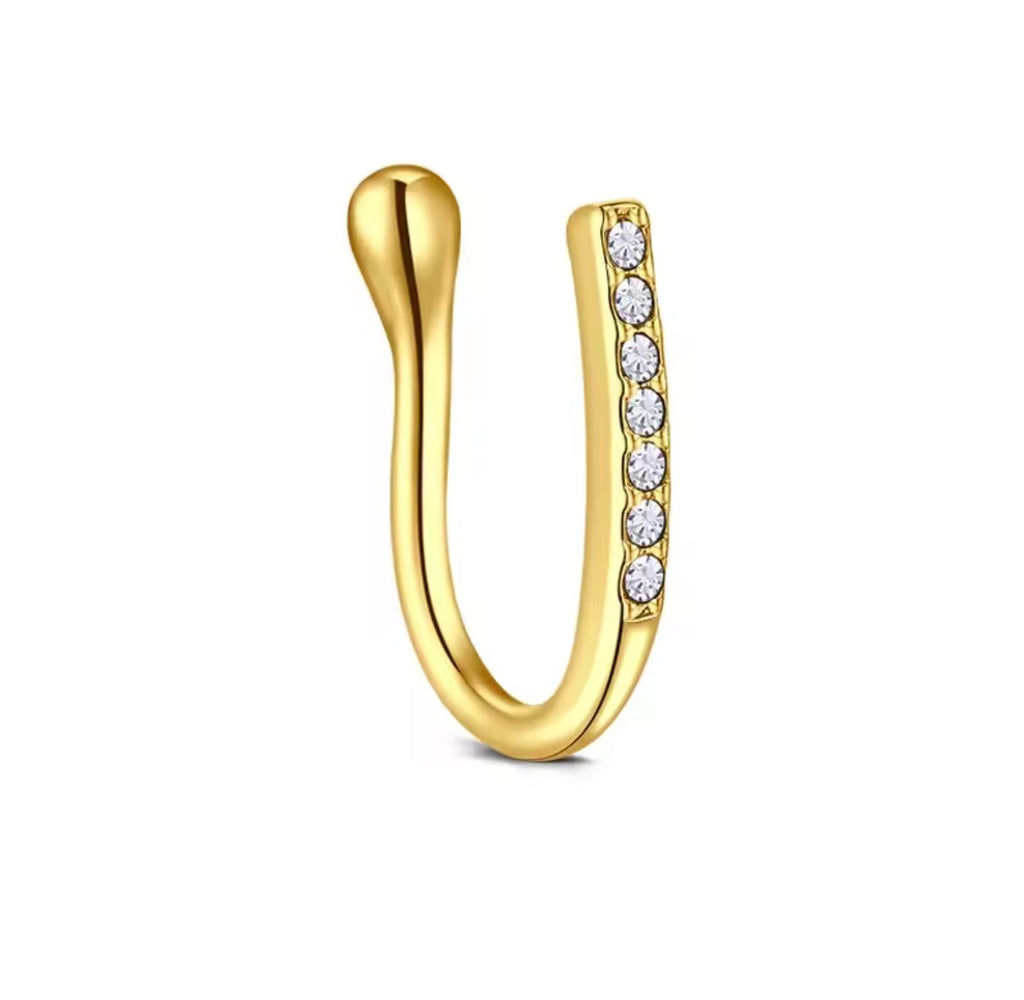 PIERCING DE NEZ DALIA