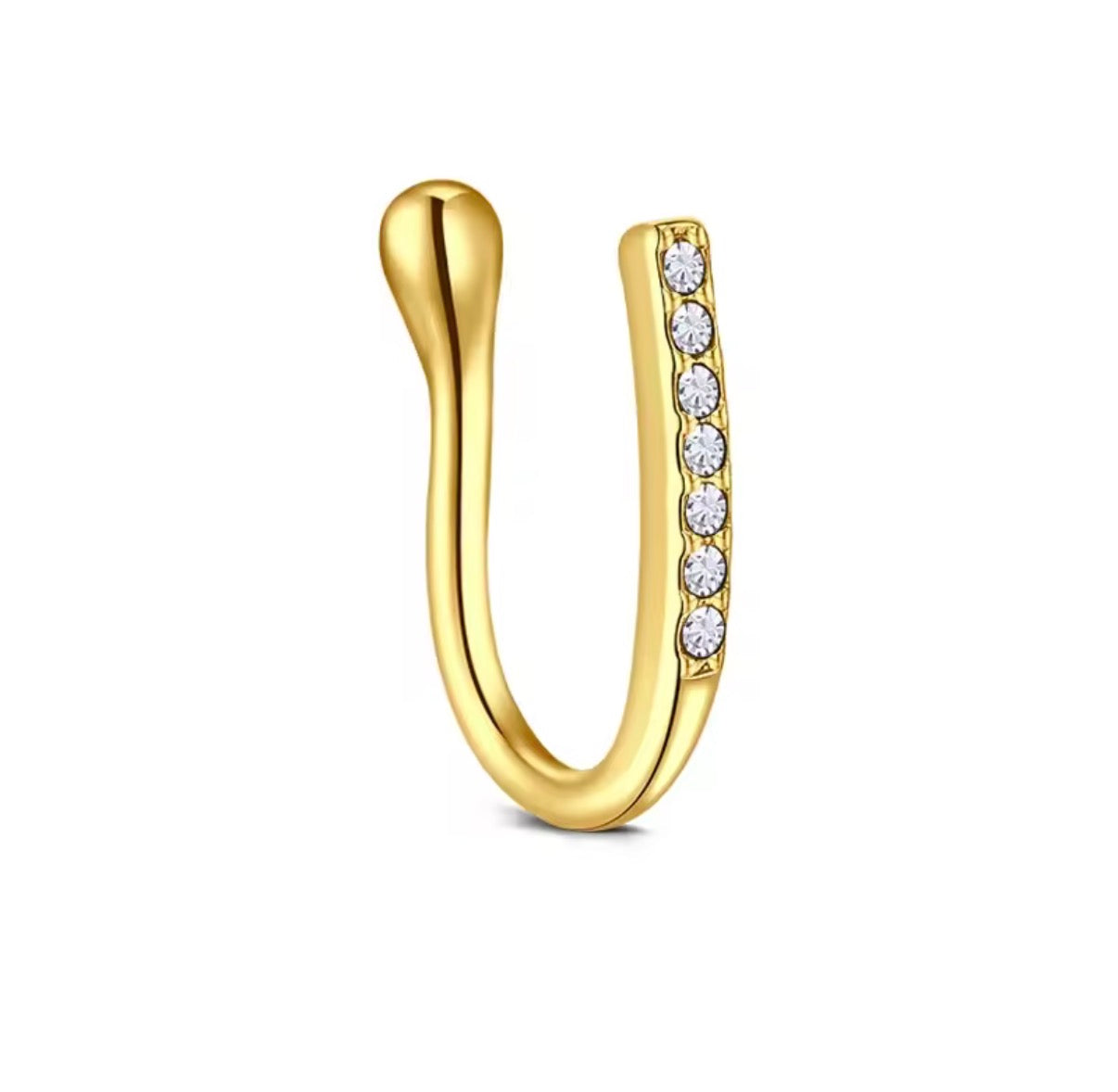 PIERCING DE NEZ DALIA